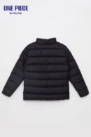 SOUTHBLUE Standard Fit Hooded Men's Puffer