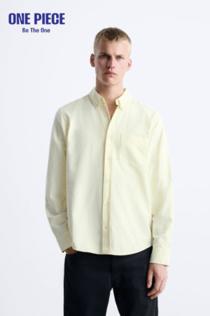 ZARA TEXTURED OXFORD SHIRT